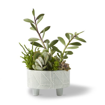 Geometric Planter Moss Large