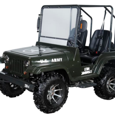 Thunder Bird Off-Road Mini Jeep 200cc EFI Fully Automatic With Reverse 12″ Alloy Wheels