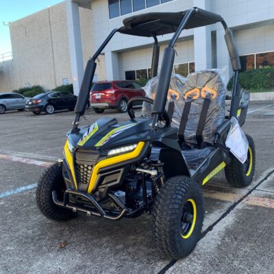 Trail Master Cheetah i6 all electric, kids off road go kart. 3 speeds, with reverse, 48V 20Ah battery pack