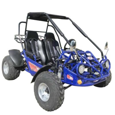 Trailmaster 200E XRS EFI Buggy / Go Kart Full Size youth Adult Off road Go Kart, Adjustable Seat, Independent Front Suspension, Double A Arms,