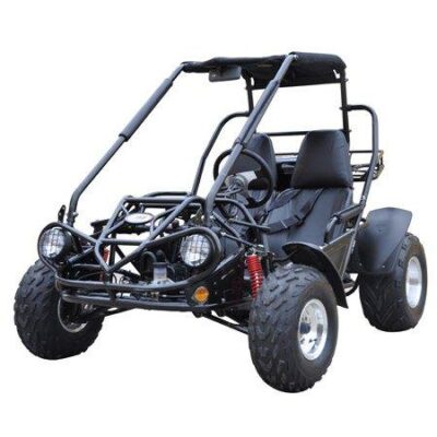 Trailmaster 200XRS Buggy / Go Kart Full Size Youth and Adult cart ages 13 and up. Off road High Torque Higher Reveving Motor