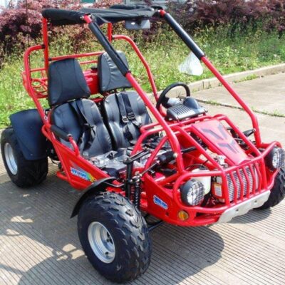 Trailmaster 300XRSE EFI Ultra Buggy Go Kart Largest Engine, Fuel Injected Motor, Over Sized disc brakes, Water Cooled