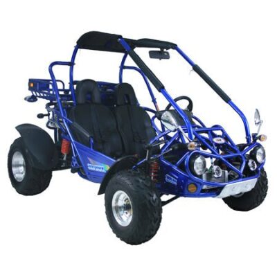 TRAILMASTER 300XRX-E (EFI) Buggy / Go Kart Water Cooled, Fuel Injected, Independent rear axles, Double A Arm Coil