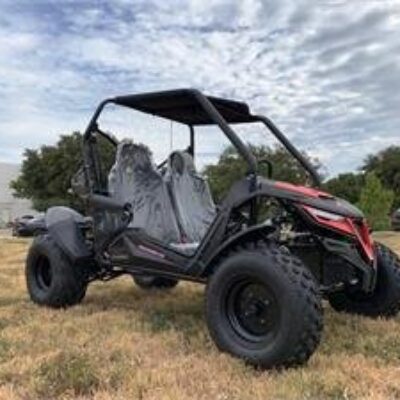 Trailmaster Cheetah 200E Off Road UTV / Go Kart / Fuel Injected, Upgraded Rear End Suspension, Body Kit to keep you drier, Disk Brakes