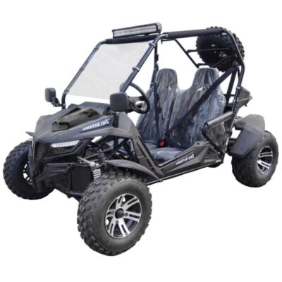 Trailmaster Cheetah 200EX Off Road UTV / Go Kart / side-by-side Wind Shield, Light bar, Spare Tire, Upgraded Center Pivot rear end, Fuel Injected