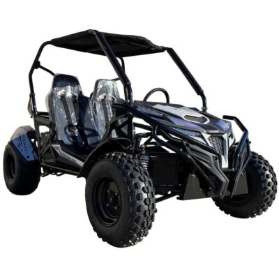 Trailmaster Cheetah 300E Off Road UTV/Go kart 18 HP Fuel Injected, Upgraded rear suspension