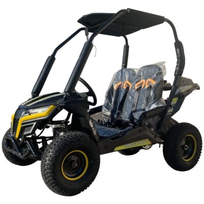 Trailmaster Cheetah 6 163cc Youth off road go kart with reverse. Speed limiter , remote Kill