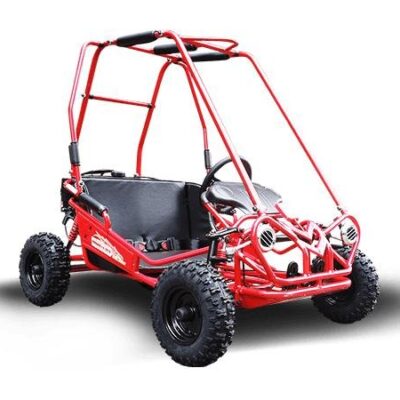 TRAILMASTER MINI XRS+ – KIDS SIZE GO KART, Bench Seat, Pull Start , Roll Cage, Lap Belts, NO Reverse