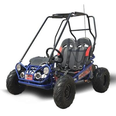 Trailmaster Mini XRX/R+ Go Kart with Reverse Best Seller. Up to 10 years Old, Pedals and seats adjust