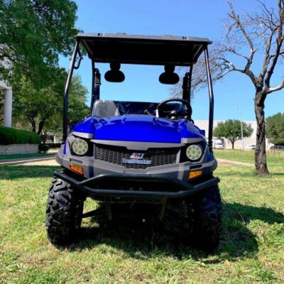 TrailMaster Taurus 200U UTV / Golf Cart / side-by-side Utility Hybrid with High/Low Gear