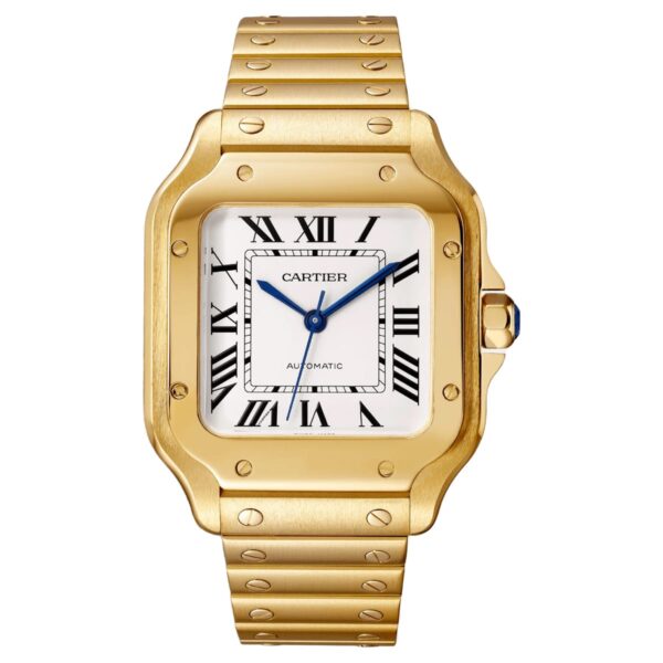 Santos De Cartier WGSA0030 Watch